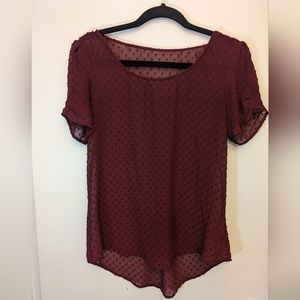 Sheer Swiss Dot Short Sleeve Blouse